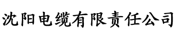 国产AV老师黑色丝袜美腿电缆厂logo